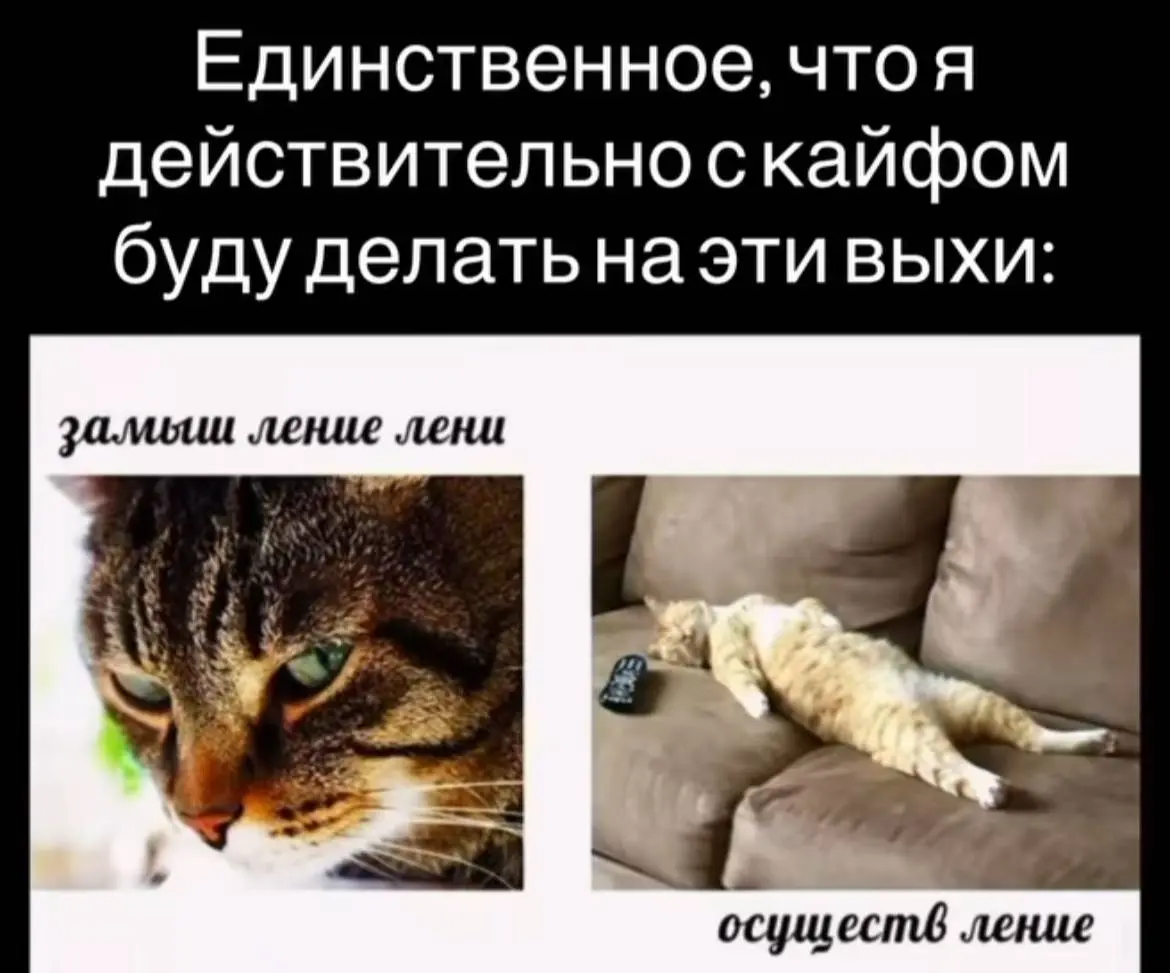 День 122
🔤 ничего не делали с Дашей
🔤 ели
🔤 спали
🔤 смотрели кино | Сетка — социальная сеть от hh.ru