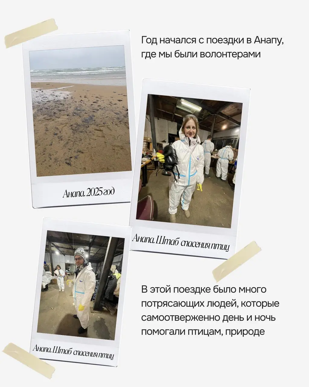 Всех с наступившим Новым 2026 годом! 🥂
Хочется рассказать честно про 2025 год. Делала пост с итогами года для Инсты и поняла, что год был очень скудный на события | Сетка — социальная сеть от hh.ru