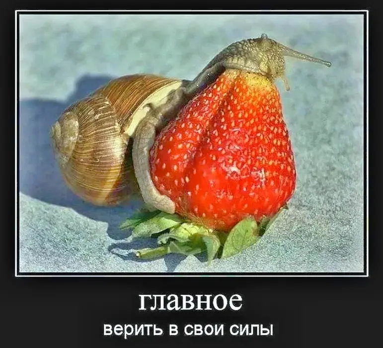 Что мешает | Сетка — социальная сеть от hh.ru