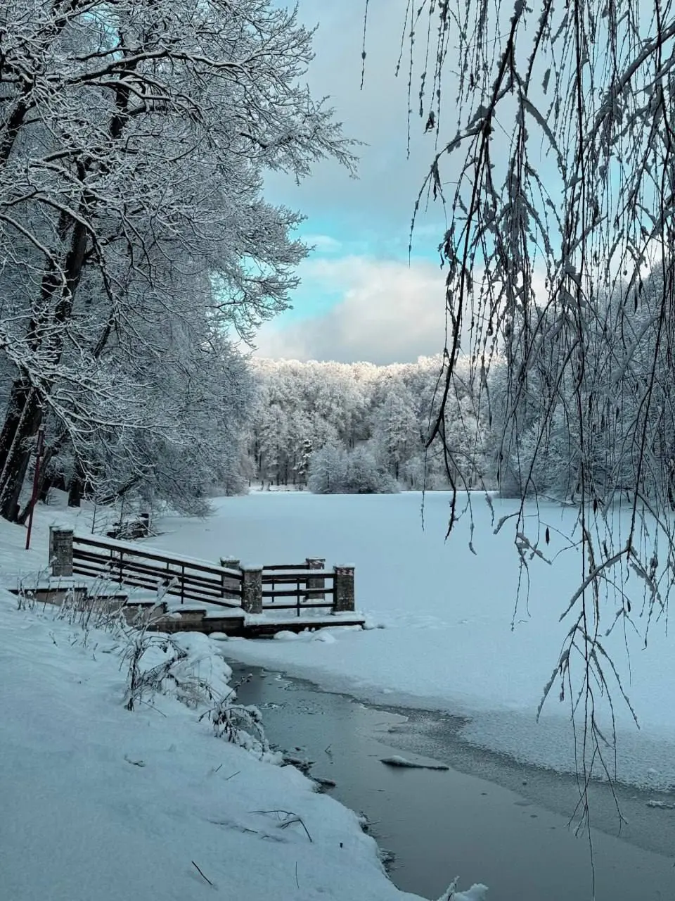 Волшебная сказка в Царицыно ❄️
Выходим гулять😍
📲Подпишитесь на Вдвижении
#активныйотдых
В этом посте были ссылки, но мы их удалили по правилам Сетки | Сетка — социальная сеть от hh.ru