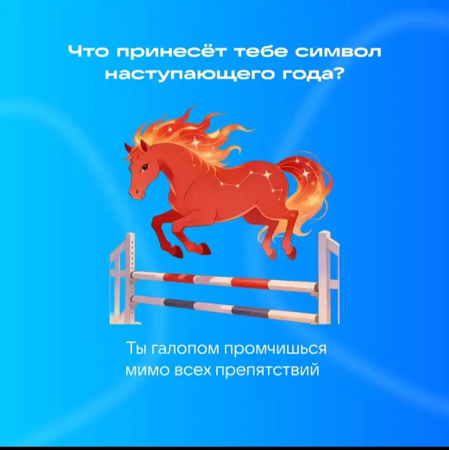 🐎🙂 | Сетка — социальная сеть от hh.ru
