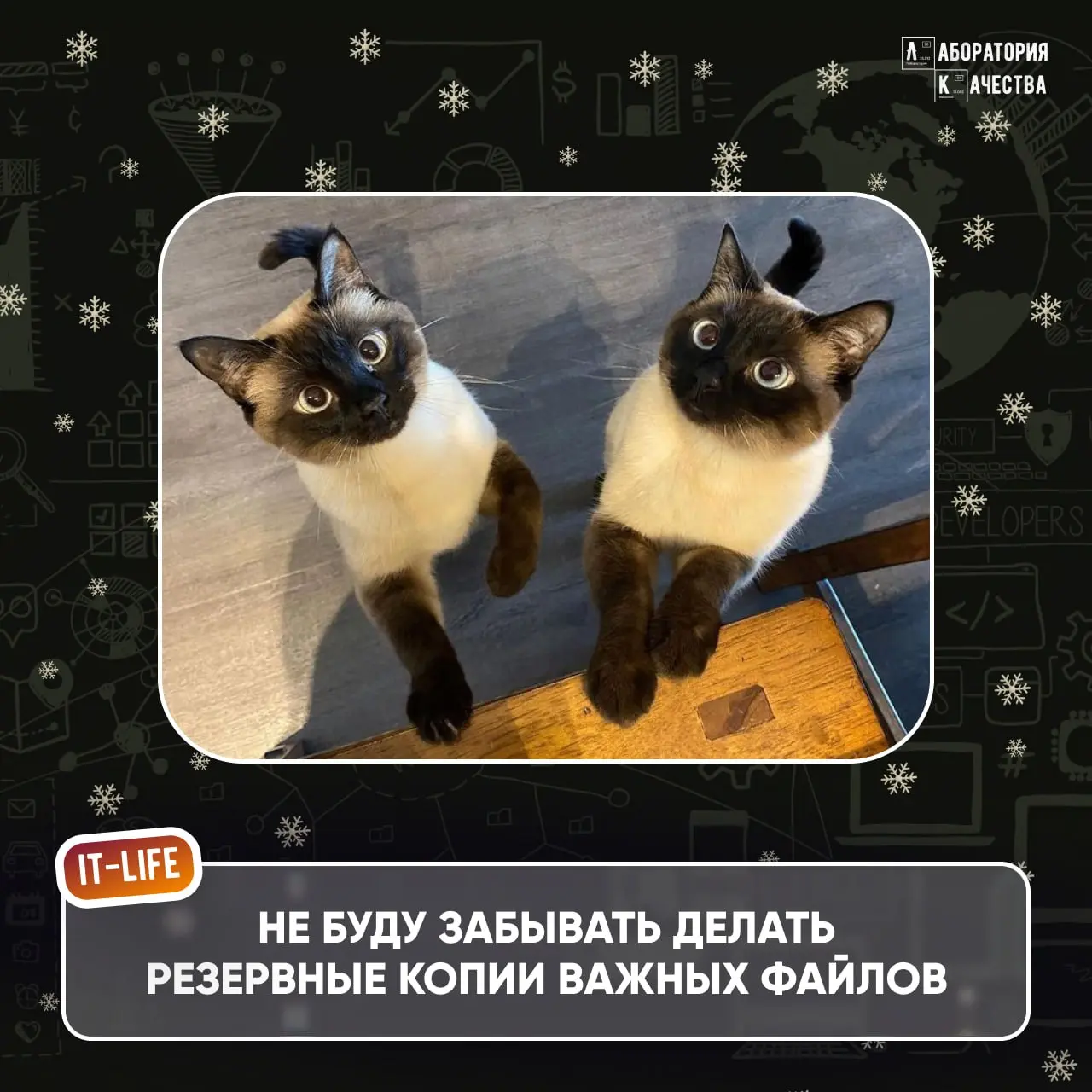 Всем привет! 🎄Если вы читаете это, то поздравляем: вы официально вышли из «салатной комы», но ещё не в прод 🎄
Надеемся, что отдых идёт по плану – без будильников, с неопределённым расписанием и надежд... | Сетка — социальная сеть от hh.ru