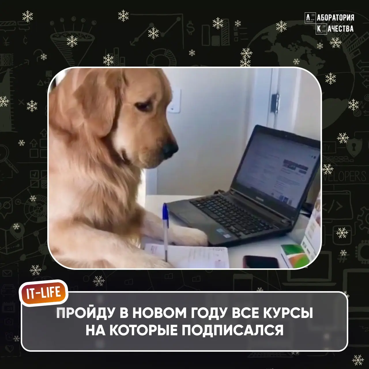 Всем привет! 🎄Если вы читаете это, то поздравляем: вы официально вышли из «салатной комы», но ещё не в прод 🎄
Надеемся, что отдых идёт по плану – без будильников, с неопределённым расписанием и надежд... | Сетка — социальная сеть от hh.ru