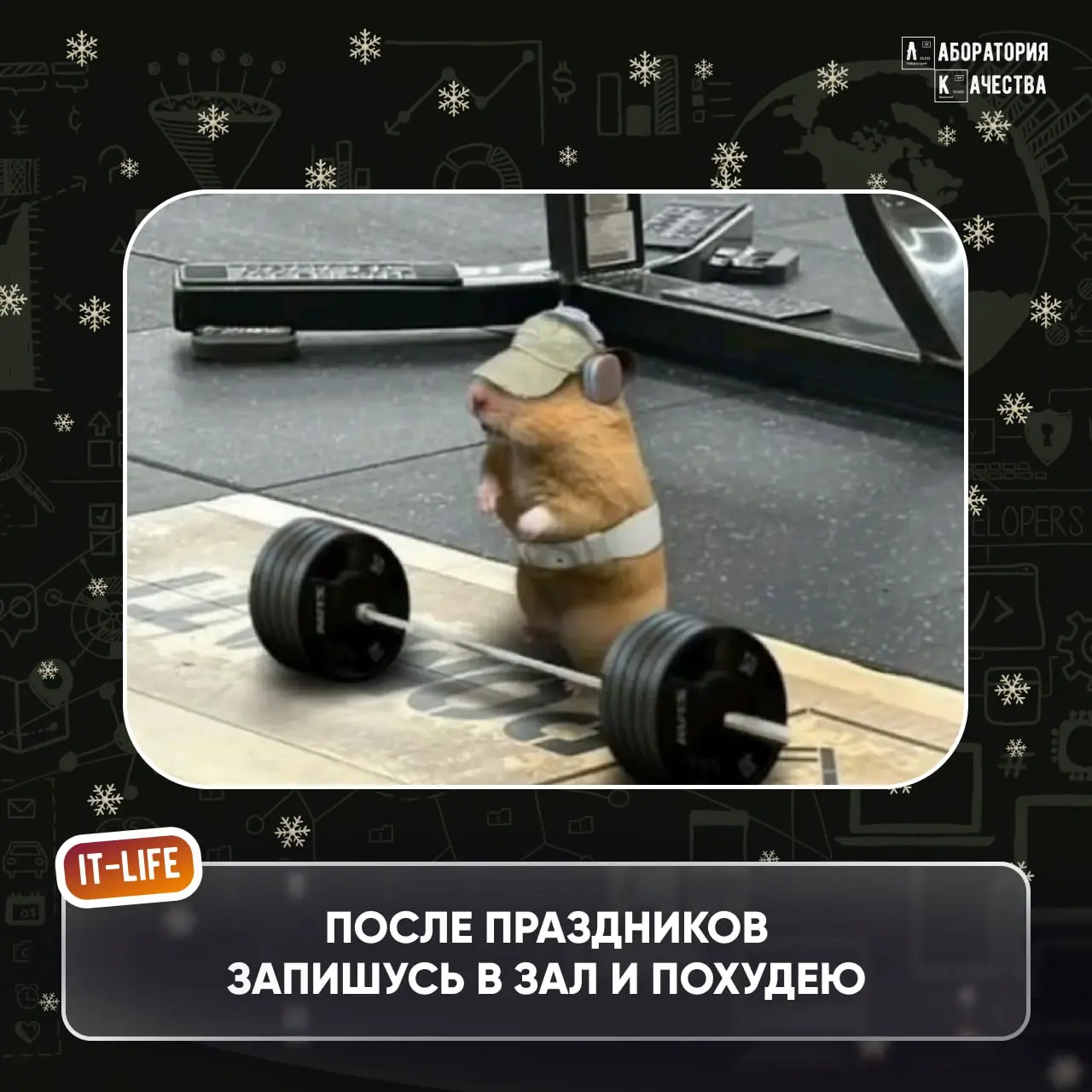 Всем привет! 🎄Если вы читаете это, то поздравляем: вы официально вышли из «салатной комы», но ещё не в прод 🎄
Надеемся, что отдых идёт по плану – без будильников, с неопределённым расписанием и надежд... | Сетка — социальная сеть от hh.ru