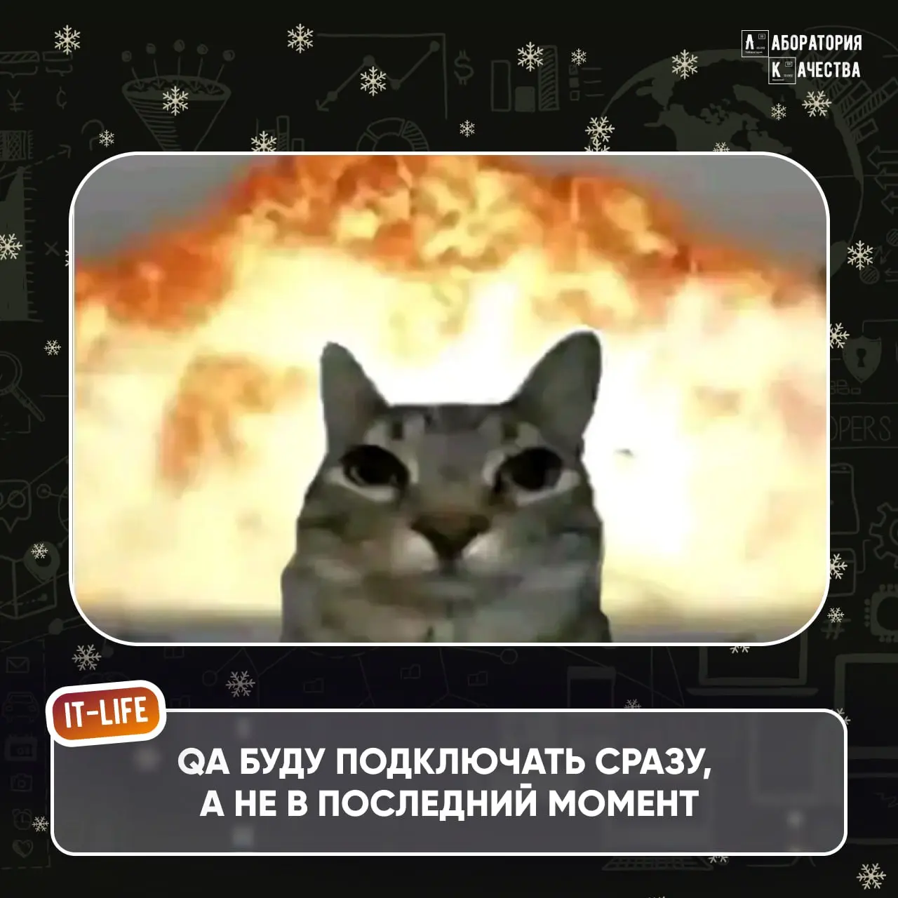 Всем привет! 🎄Если вы читаете это, то поздравляем: вы официально вышли из «салатной комы», но ещё не в прод 🎄
Надеемся, что отдых идёт по плану – без будильников, с неопределённым расписанием и надежд... | Сетка — социальная сеть от hh.ru