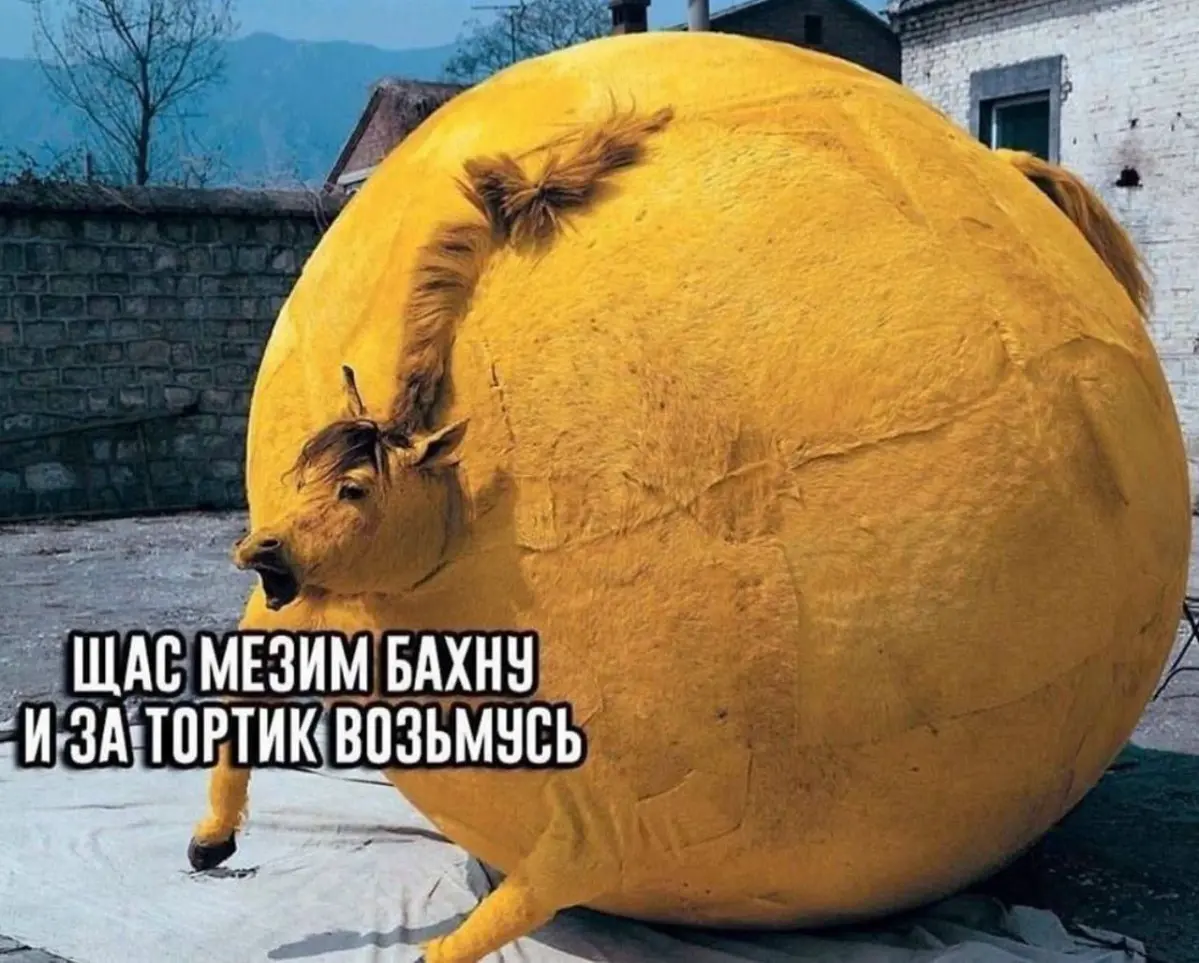 Во всеоружии нападаем на салаты | Сетка — социальная сеть от hh.ru