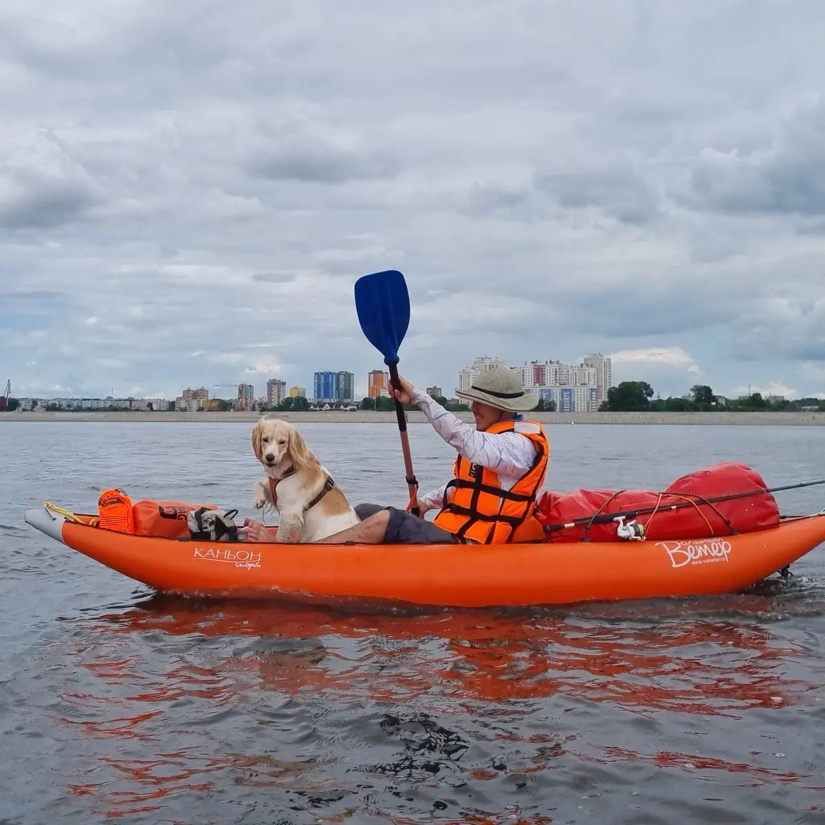 Прохор Белеванцев | Сетка — социальная сеть от hh.ru