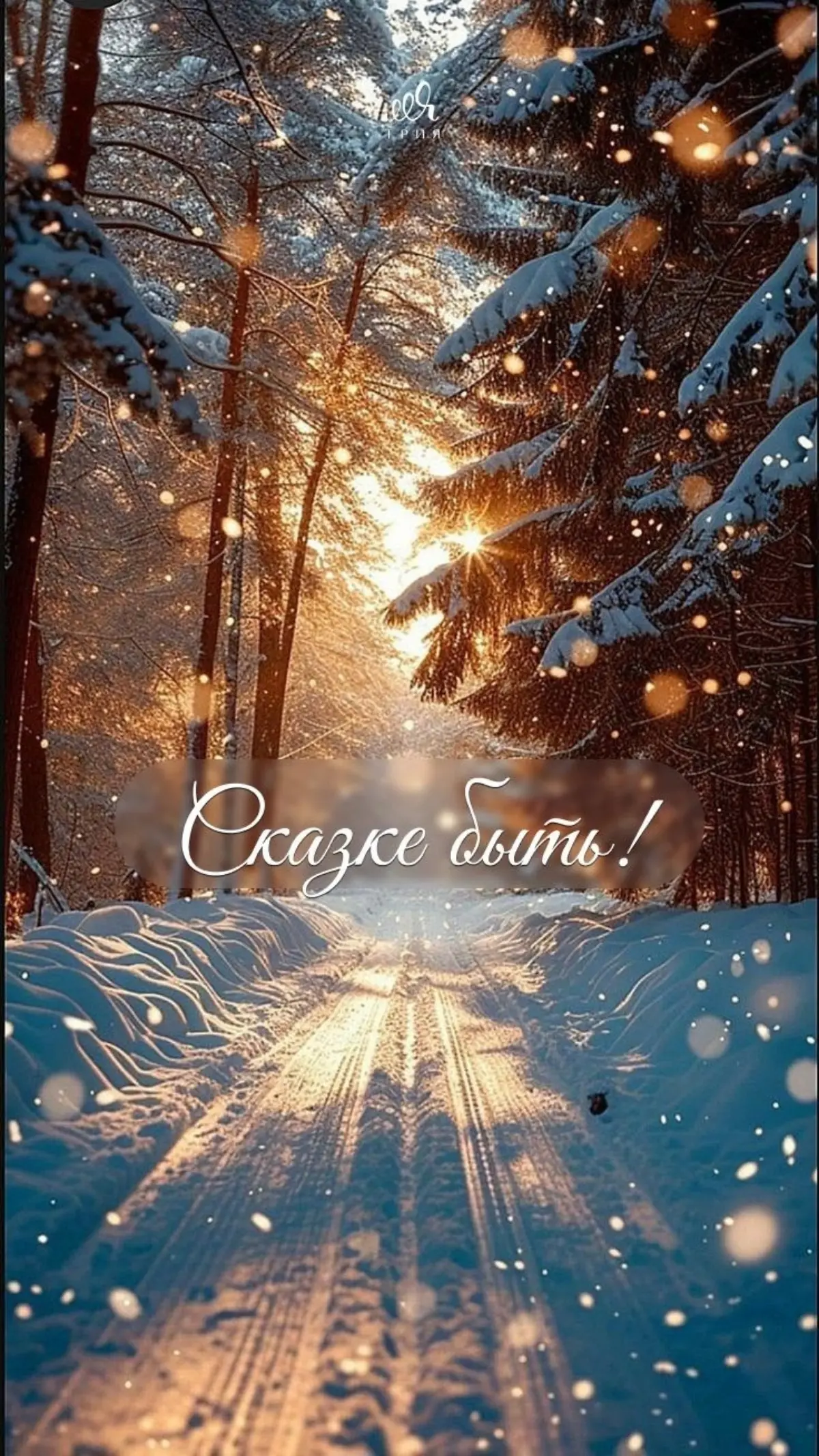 2 января....тишина.. | Сетка — социальная сеть от hh.ru