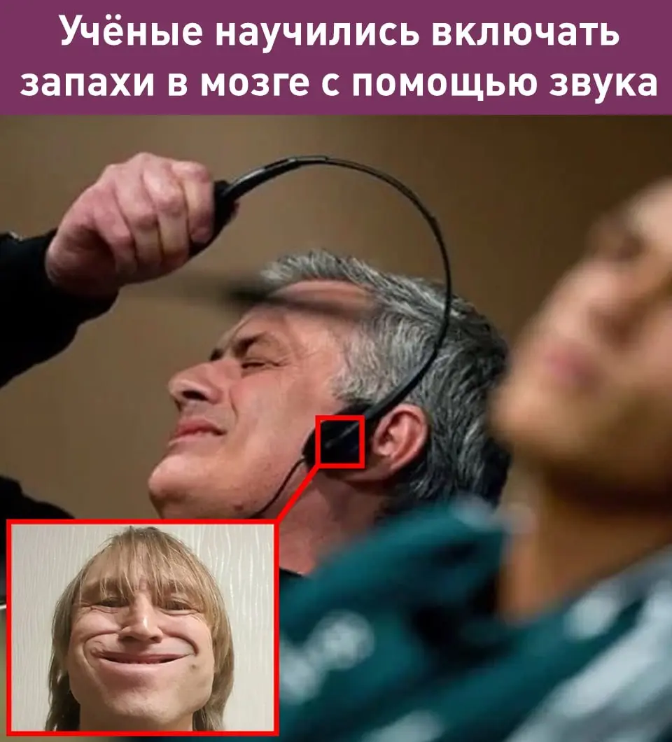 Чем нас радовали, удивляли и веселили учёные в 2025 году:
Американские учёные «воскресили» вымерший вид волков, известный по «Игре Престолов» | Сетка — социальная сеть от hh.ru