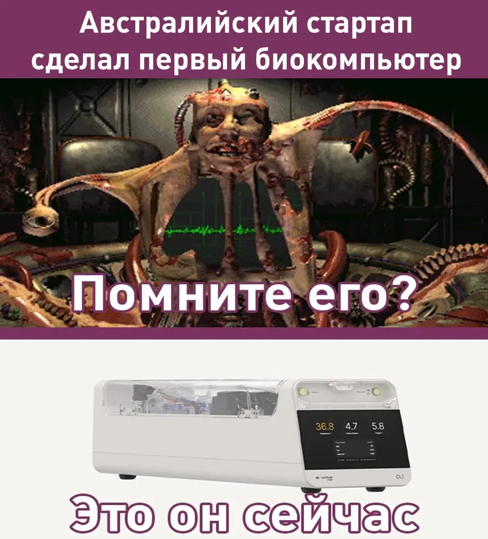 Чем нас радовали, удивляли и веселили учёные в 2025 году:
Американские учёные «воскресили» вымерший вид волков, известный по «Игре Престолов» | Сетка — социальная сеть от hh.ru
