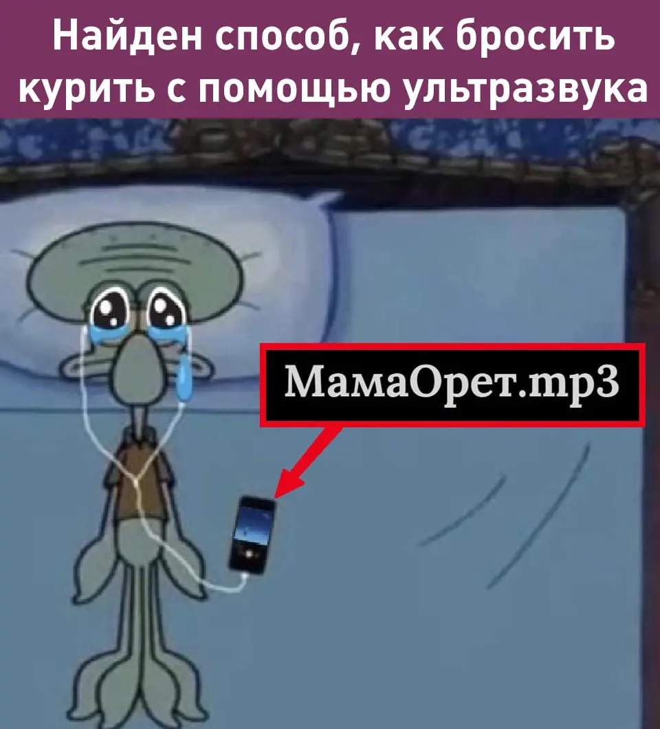 Чем нас радовали, удивляли и веселили учёные в 2025 году:
Американские учёные «воскресили» вымерший вид волков, известный по «Игре Престолов» | Сетка — социальная сеть от hh.ru