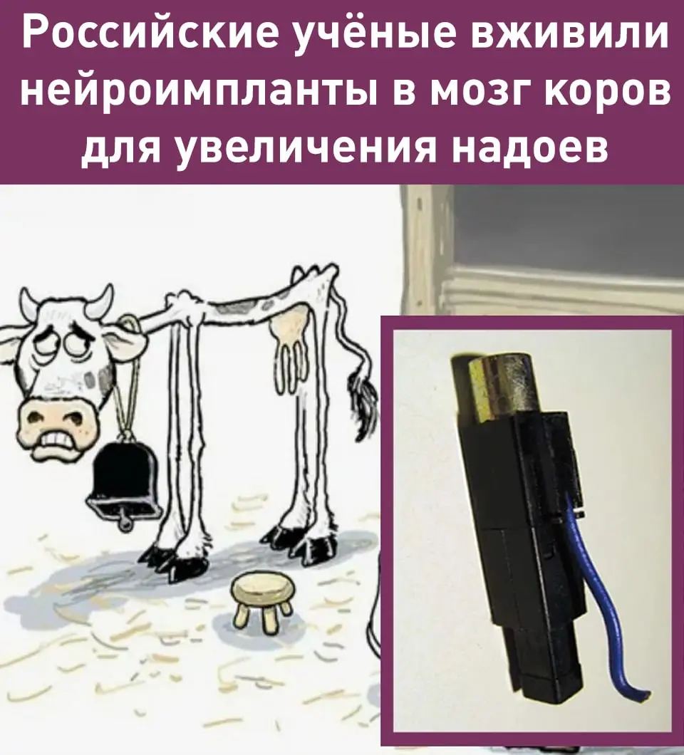Чем нас радовали, удивляли и веселили учёные в 2025 году:
Американские учёные «воскресили» вымерший вид волков, известный по «Игре Престолов» | Сетка — социальная сеть от hh.ru