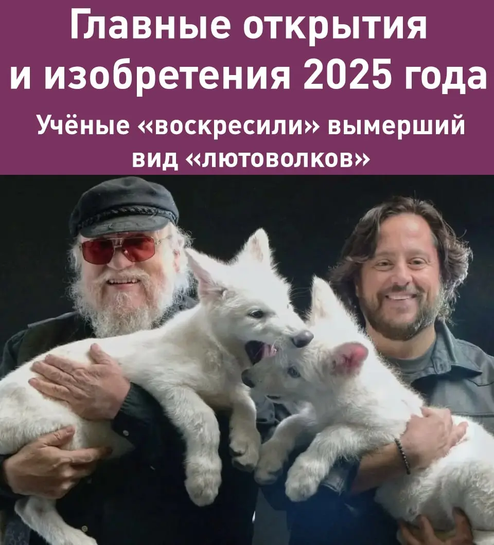 Чем нас радовали, удивляли и веселили учёные в 2025 году:
Американские учёные «воскресили» вымерший вид волков, известный по «Игре Престолов» | Сетка — социальная сеть от hh.ru