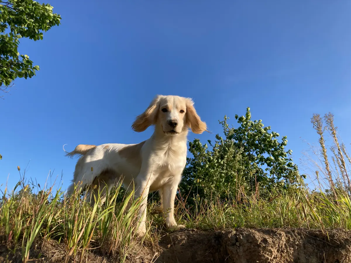 Как сплавы на байдарке🛶  и рыбалка спасли меня от депрессии | Сетка — социальная сеть от hh.ru