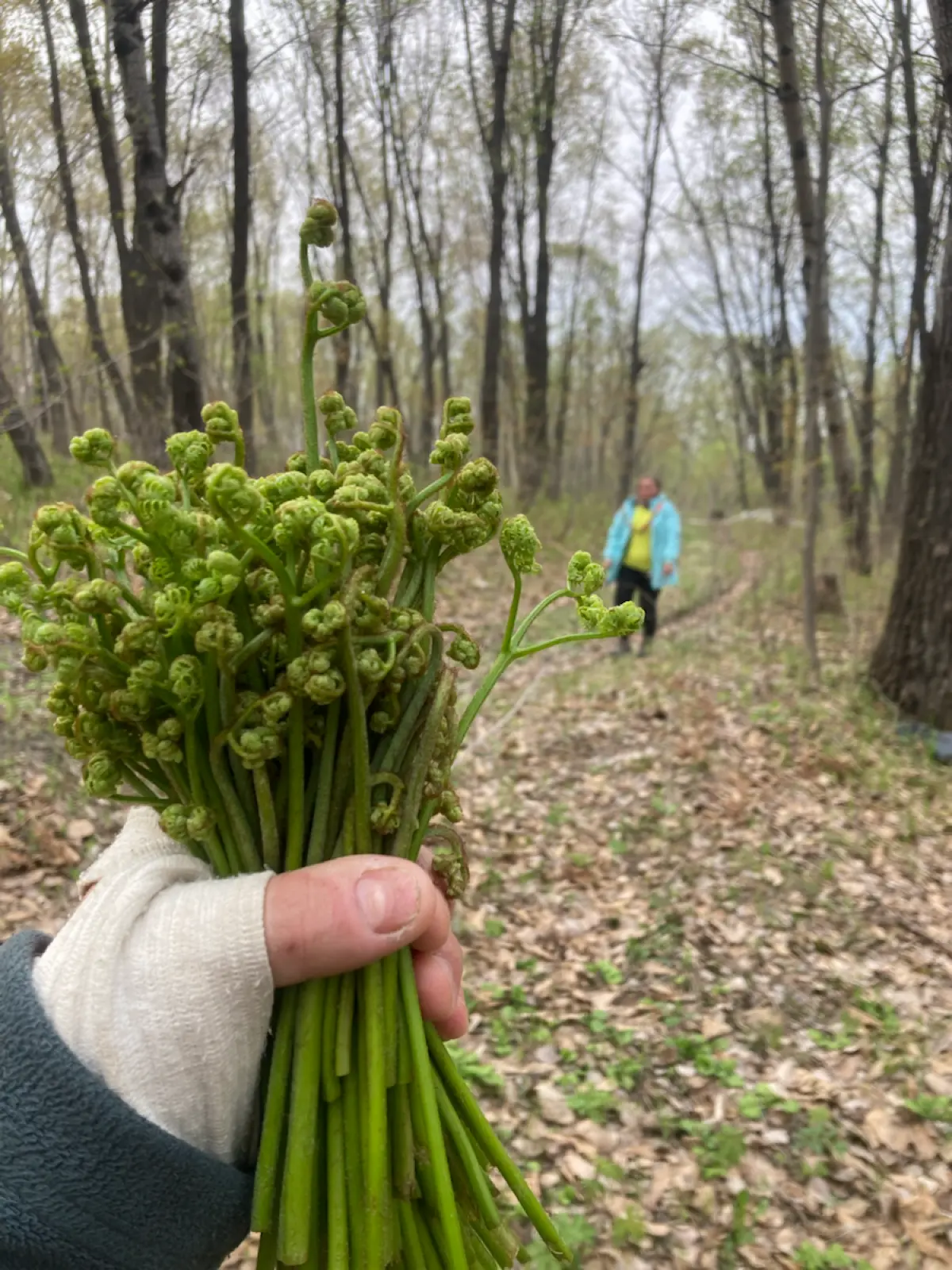 Как сплавы на байдарке🛶  и рыбалка спасли меня от депрессии | Сетка — социальная сеть от hh.ru