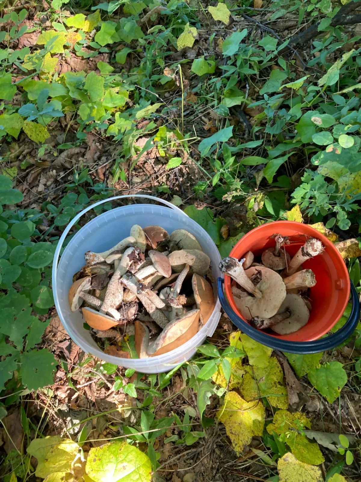 Как сплавы на байдарке🛶  и рыбалка спасли меня от депрессии | Сетка — социальная сеть от hh.ru