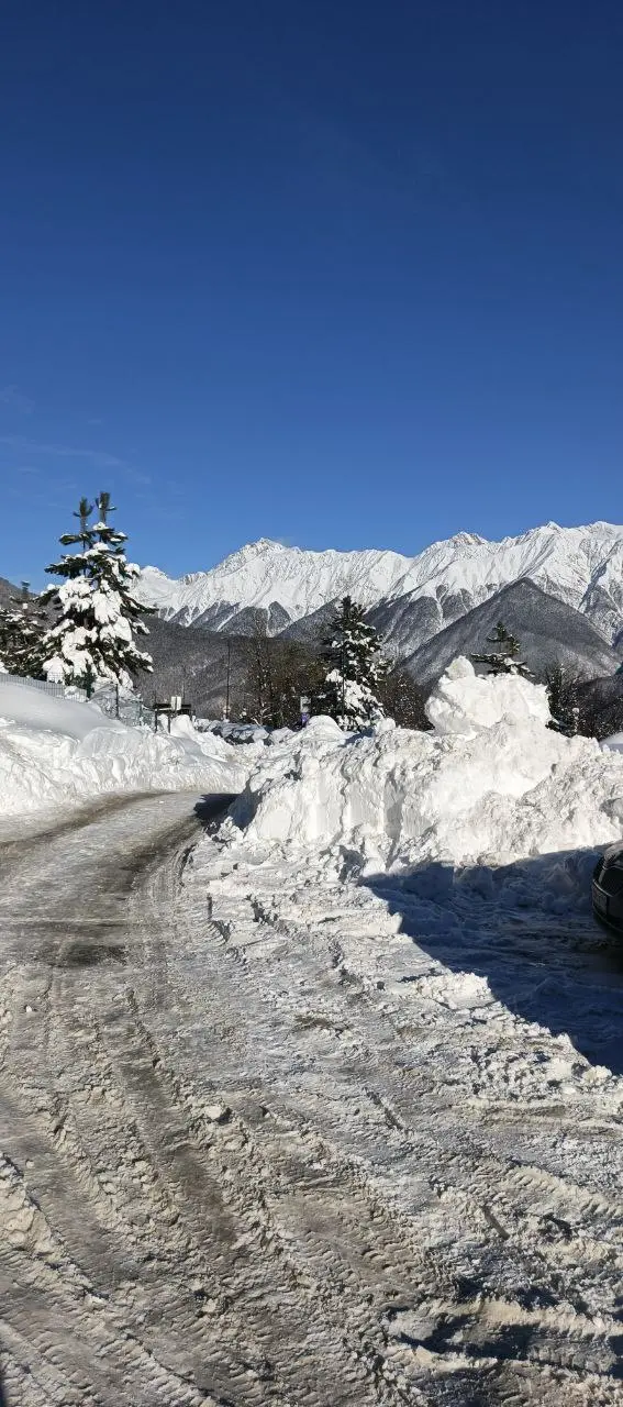 Кайф ❄️ | Сетка — социальная сеть от hh.ru