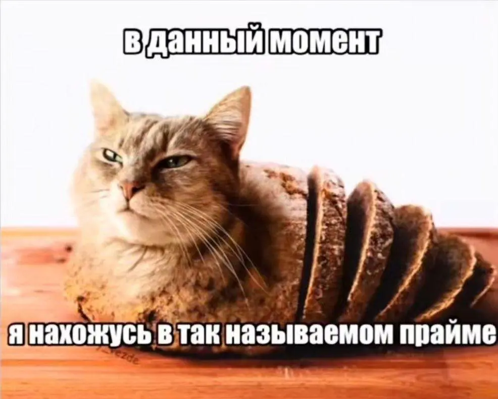Мой 2025 | Сетка — социальная сеть от hh.ru