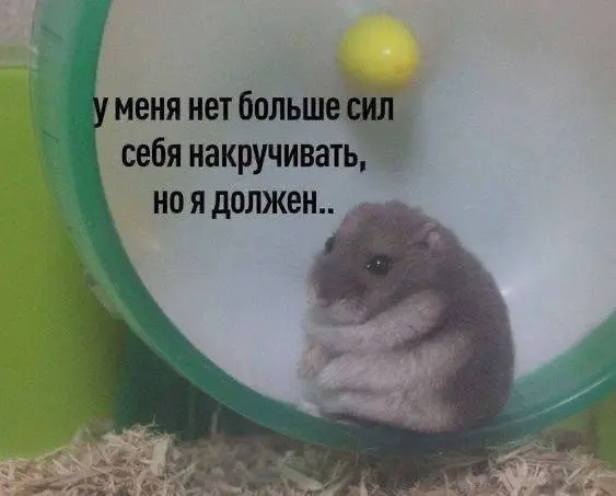 🙃 Скорее ловите подборку жизненных приколов
Пожалуй, это наш любимый день календаря ⭐️
Кстати, присылайте ваши мемы в комментариях, давайте обмениваться ⬇️
👉 Human Relations | Развитие вашего бизнеса
... | Сетка — социальная сеть от hh.ru