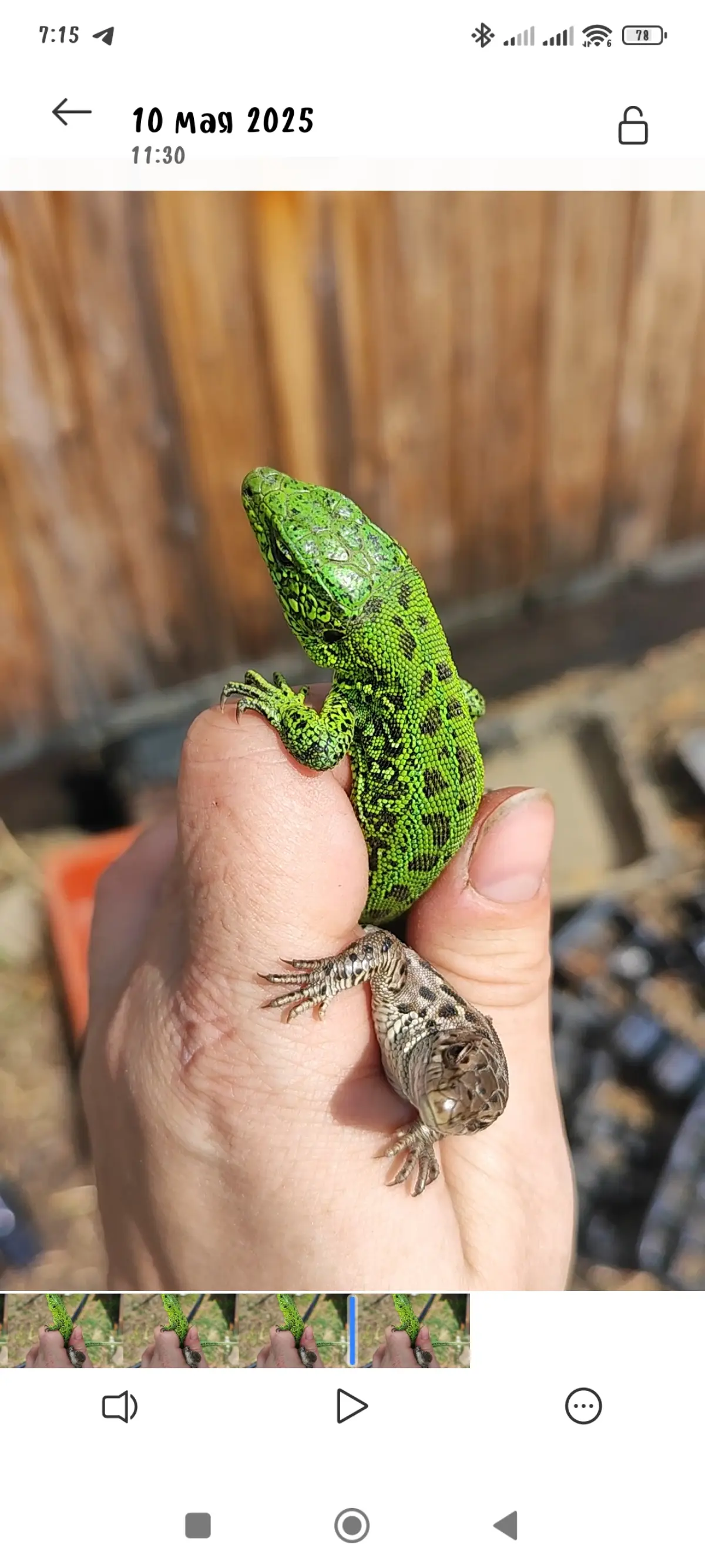 Итоги моего 2025 года | Сетка — социальная сеть от hh.ru