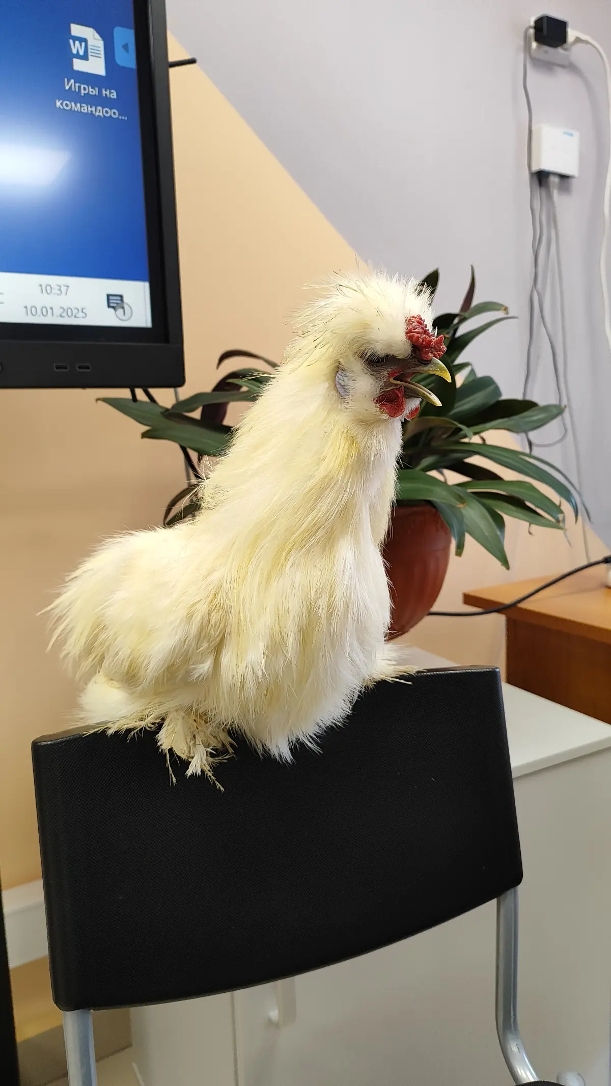 Итоги моего 2025 года | Сетка — социальная сеть от hh.ru