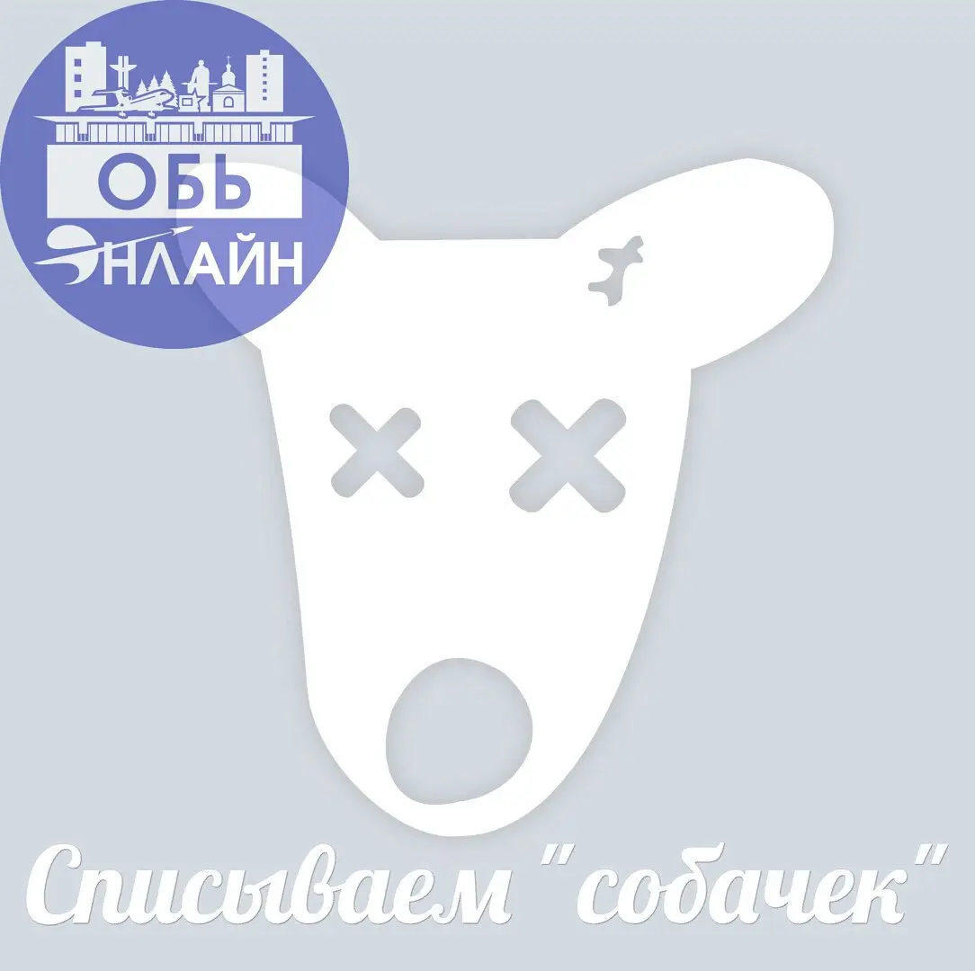 ↗ 🐩 Скоро снова спишем "собачек" в группах проекта "Город Обь" 🐩
Пришло время ежегодной профилактической чистки сообществ от заблокированных и удалённых подписчиков | Сетка — социальная сеть от hh.ru