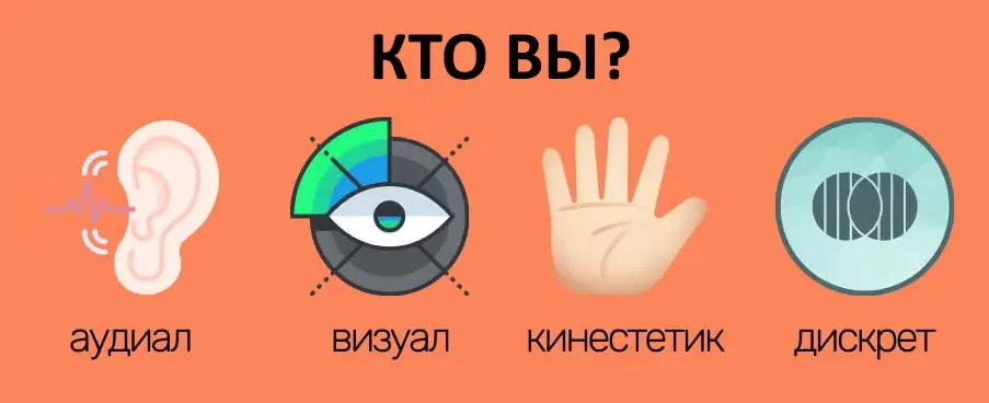 Завершив изучение характеристик и советов для кинэстетиков, я хотела бы, прежде всего, помочь своим читателям определиться, какой же у вас ведущий тип восприятия | Сетка — социальная сеть от hh.ru