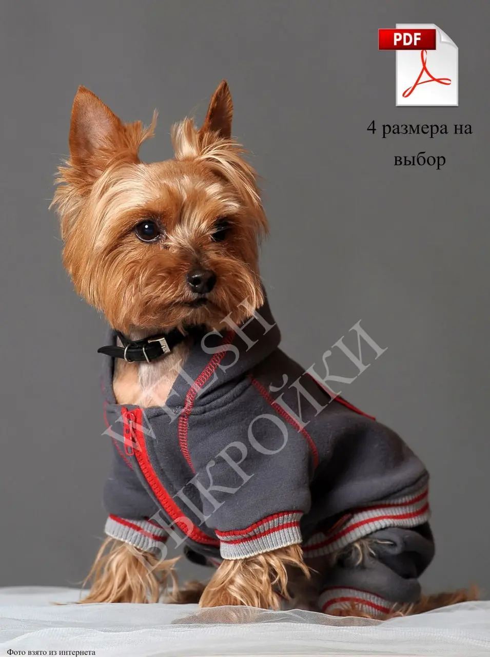 ВЫКРОЙКА ТОЛСТОВКИ ДЛЯ СОБАК ПОРОДЫ ЙОРКШИРСКИЙ ТЕРЬЕР, ТОЙТЕРЬЕР 🧶🐕‍🦺✂️
(Выкройку можно использовать для пошива толстовки на собак мелких пород) 📏✅
Толстовка умеренного объема с рукавом покроя реглан... | Сетка — социальная сеть от hh.ru