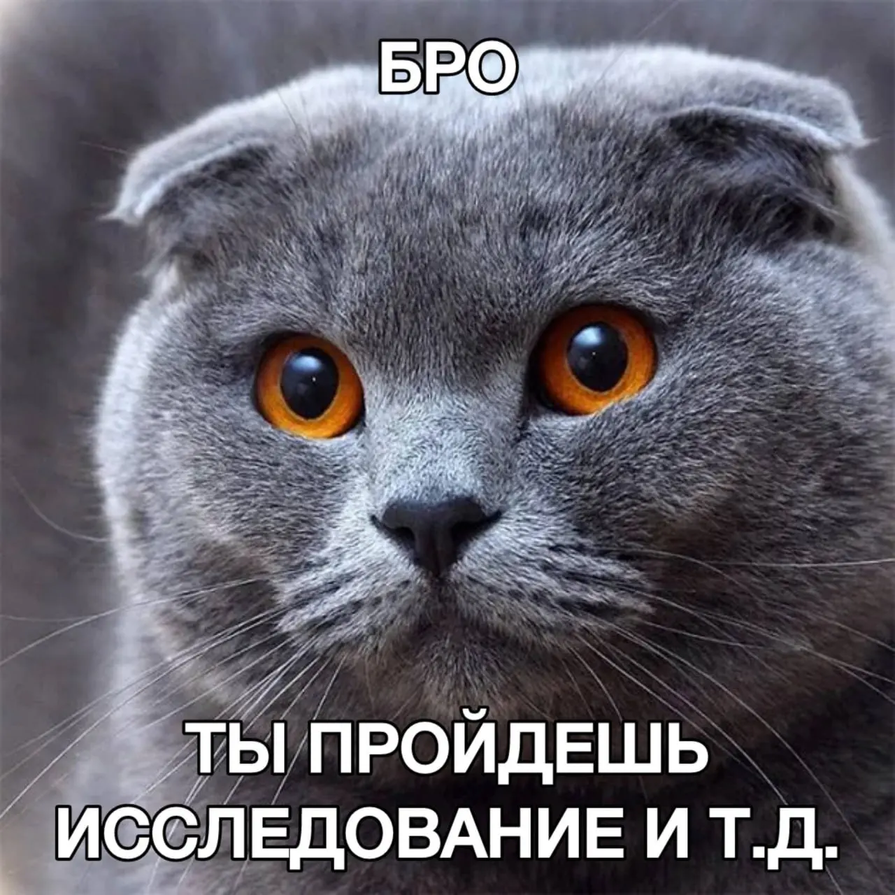 🎅 Новый год — новое исследование рынка
Новогодний стол побежден. Подарки открыты, салаты доедены, гости уже разошлись по домам | Сетка — социальная сеть от hh.ru