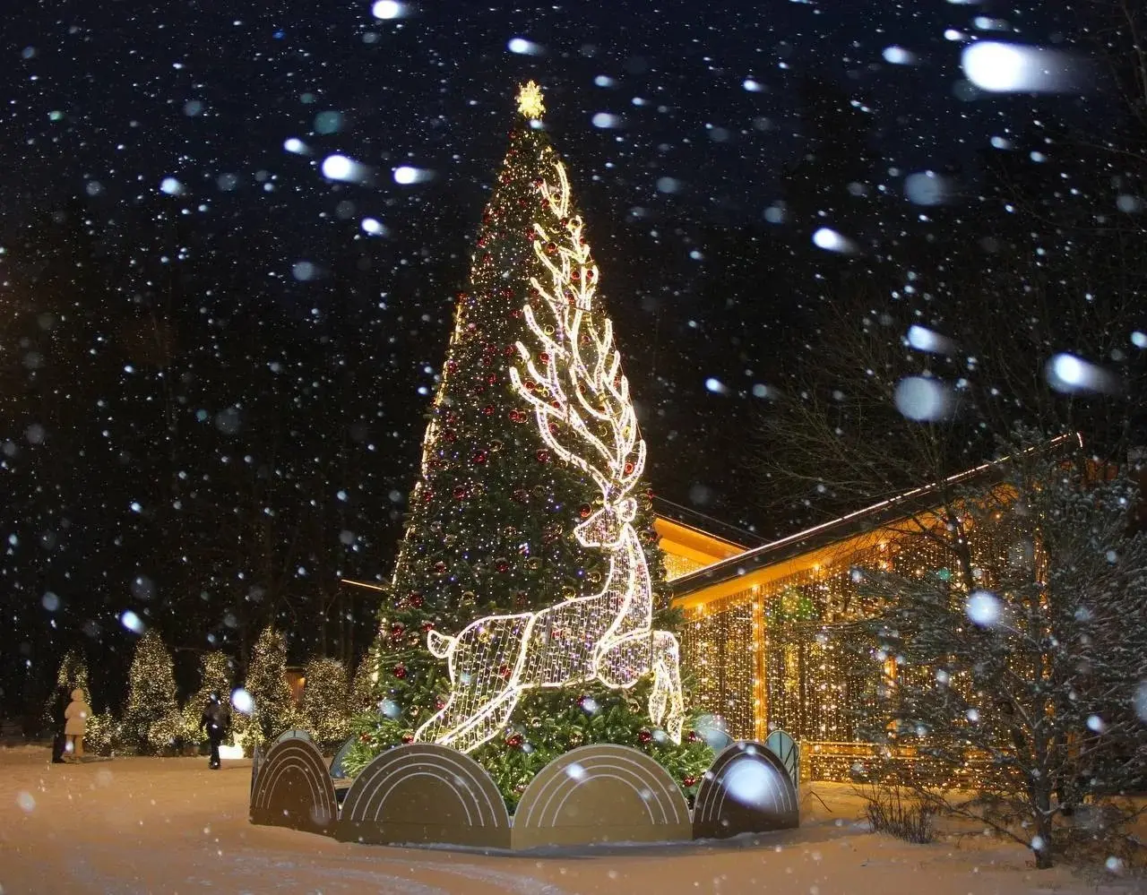 Приём заявок на конкурс «Ёлки России» продолжается
🎄Заявки на конкурс принимаются до 13 января 2026 года | Сетка — социальная сеть от hh.ru
