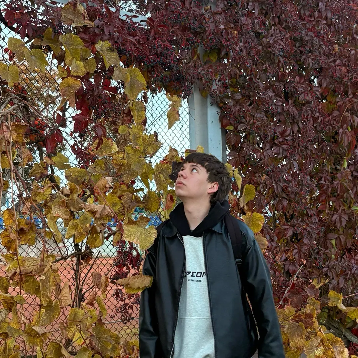 Андрей Сечко | Сетка — социальная сеть от hh.ru