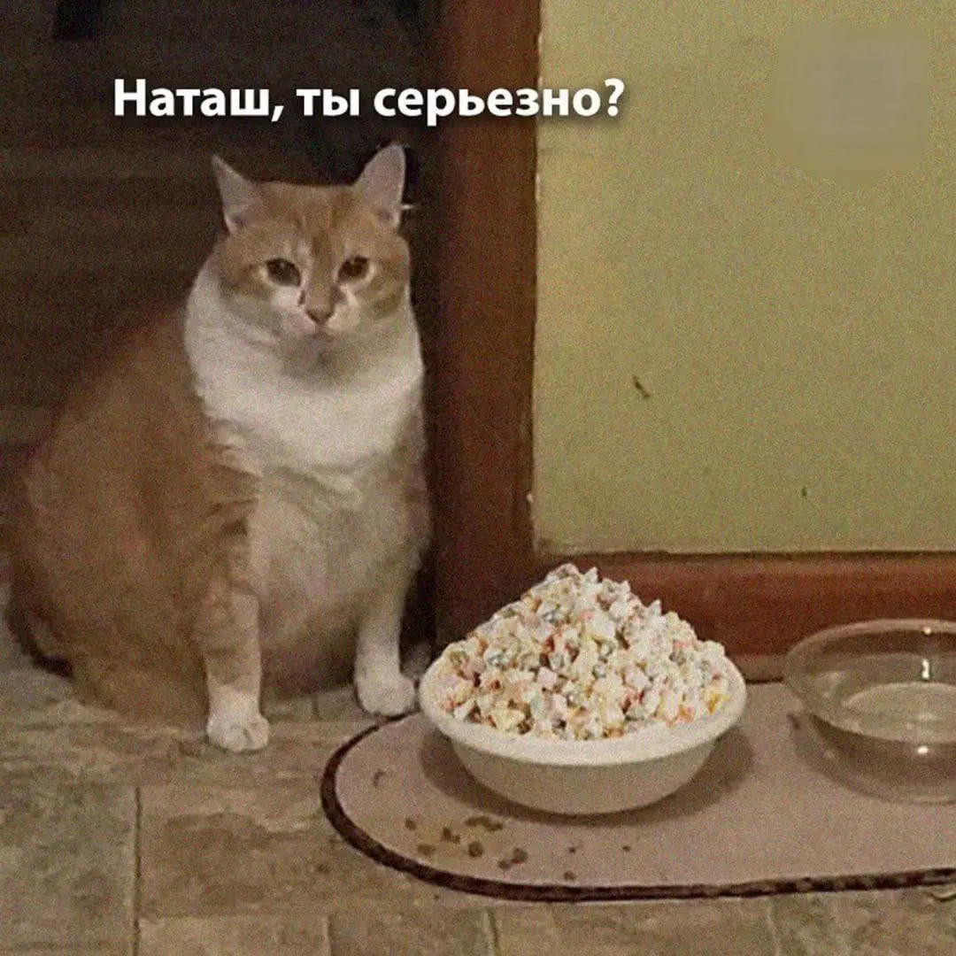 У кого еще остался оливье? 😂
Мы вчера утром свой доели 👍
У нас есть семейная традиция: делать каждый год оливье всей семьёй 31.12
#Коты@poldner | Сетка — социальная сеть от hh.ru