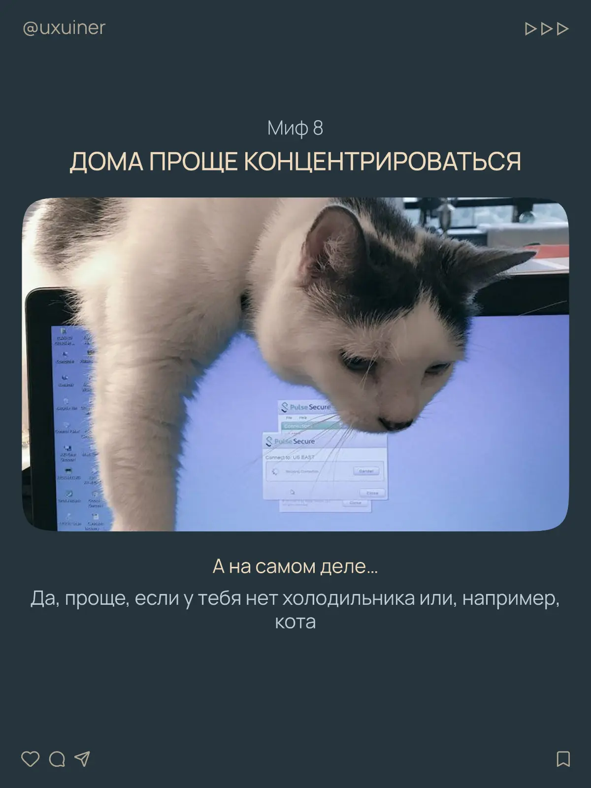 Удалёнка — мифы про работу из дома | Сетка — социальная сеть от hh.ru