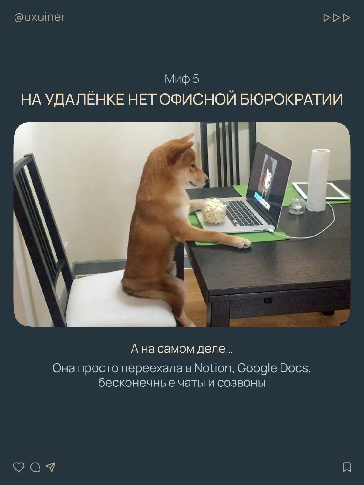 Удалёнка — мифы про работу из дома | Сетка — социальная сеть от hh.ru