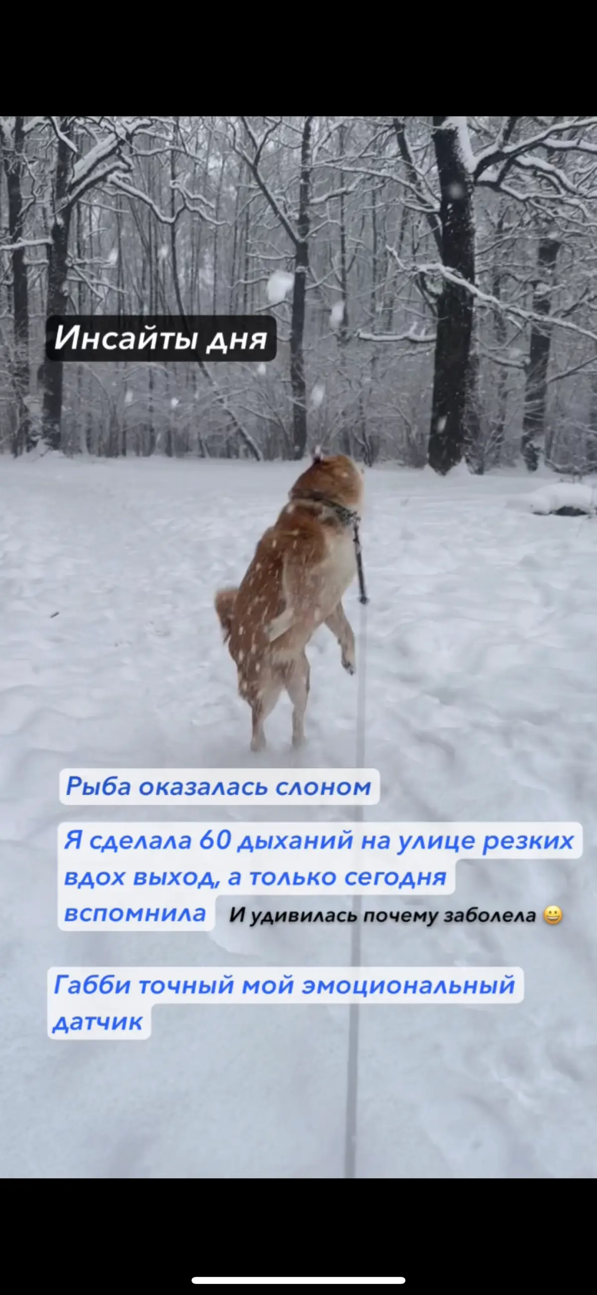 Мысли | Сетка — социальная сеть от hh.ru