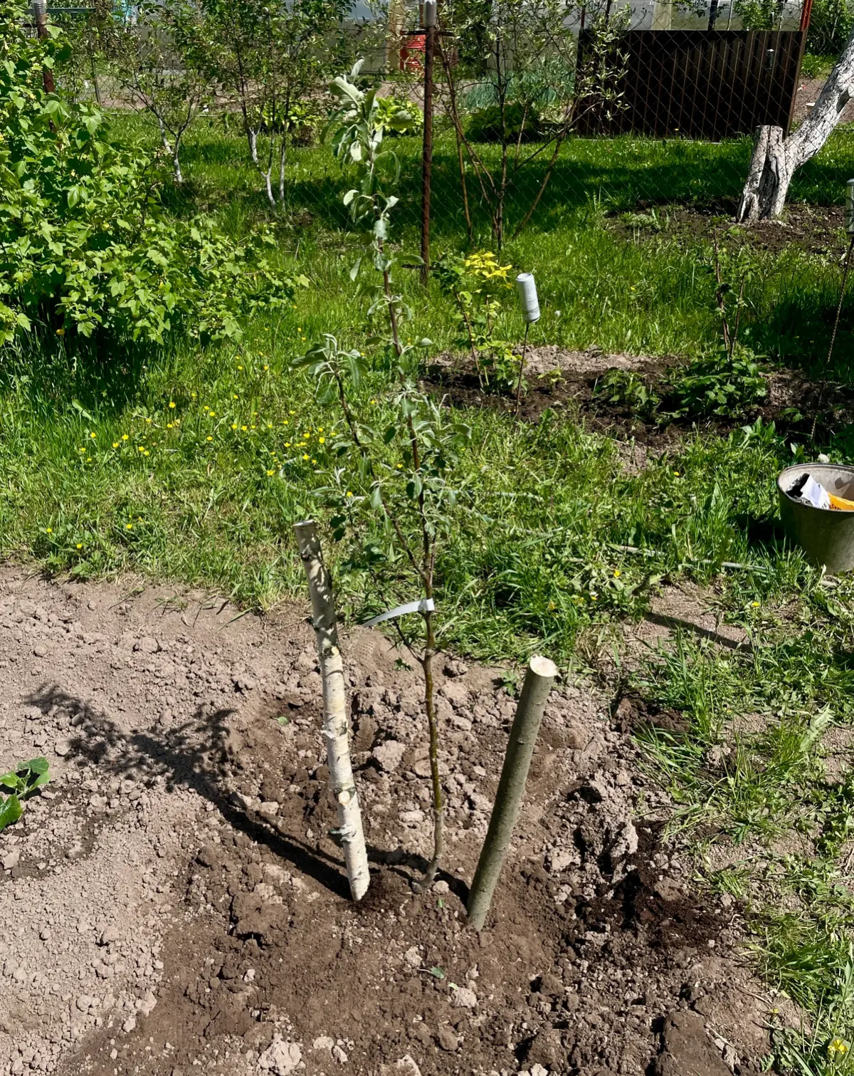 Продается: ровный участок, рядом с рекой Шат.
Адрес обл. Тульская, р-н
Киреевский, сдт "Шат"
Площадь: 1080 кв | Сетка — социальная сеть от hh.ru