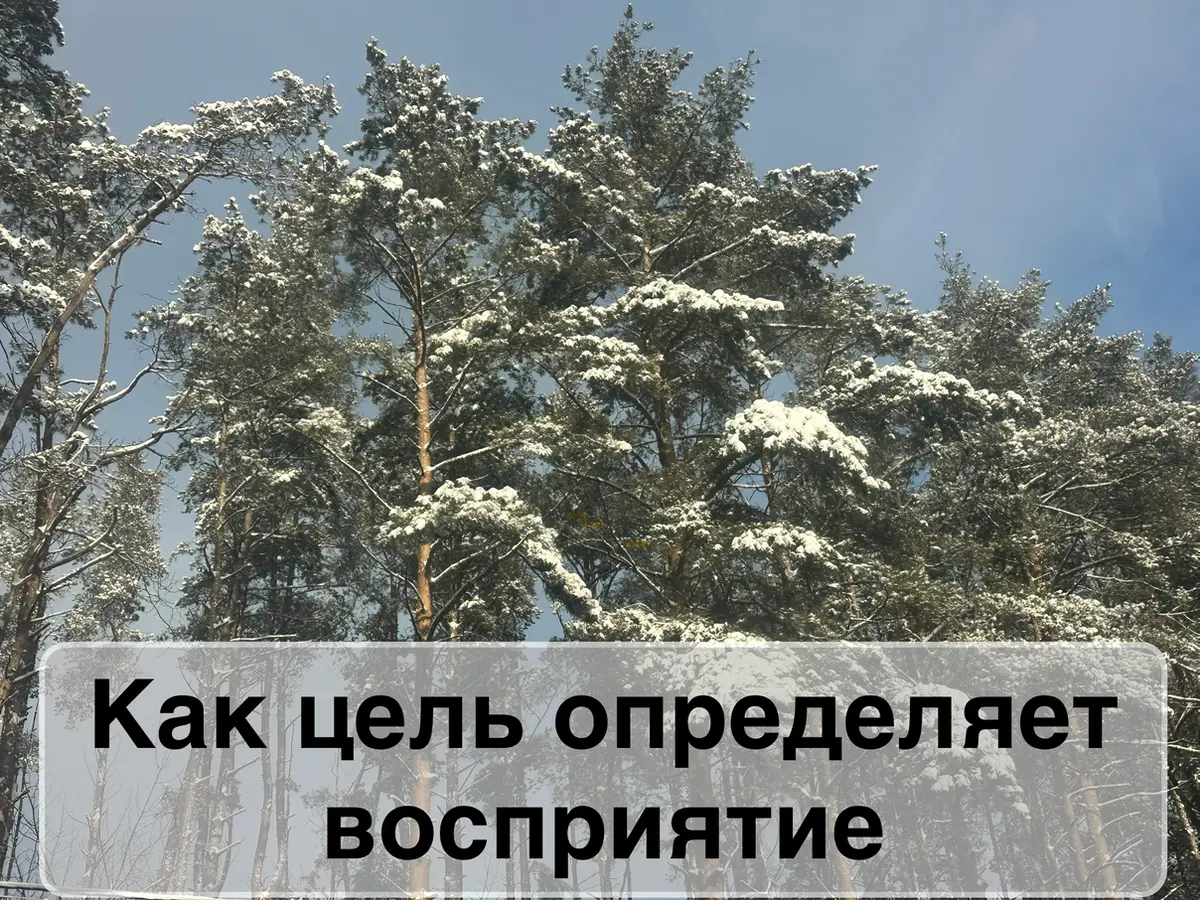 Доброго, волшебного зимнего дня❤
Немного о целях, как ранее обещала, но долго откладывала.
Созрела😁
У каждого из нас есть потребности.
Разного уровня, относящиеся к разным сферам | Сетка — социальная сеть от hh.ru