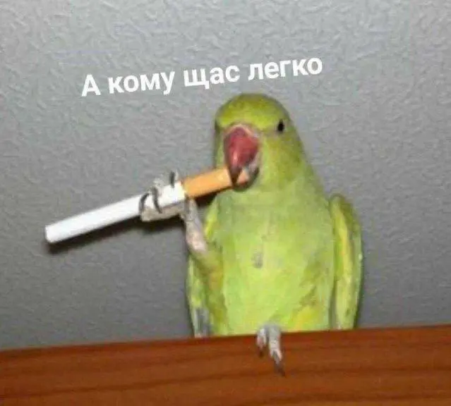 Я всё чаще вижу одно и то же.
Сильные кандидаты не доходят до оффера.
Не потому что «слабые».
А потому что рынок IT сильно изменился, а многие этого до конца не осознали.
Раньше было проще | Сетка — социальная сеть от hh.ru
