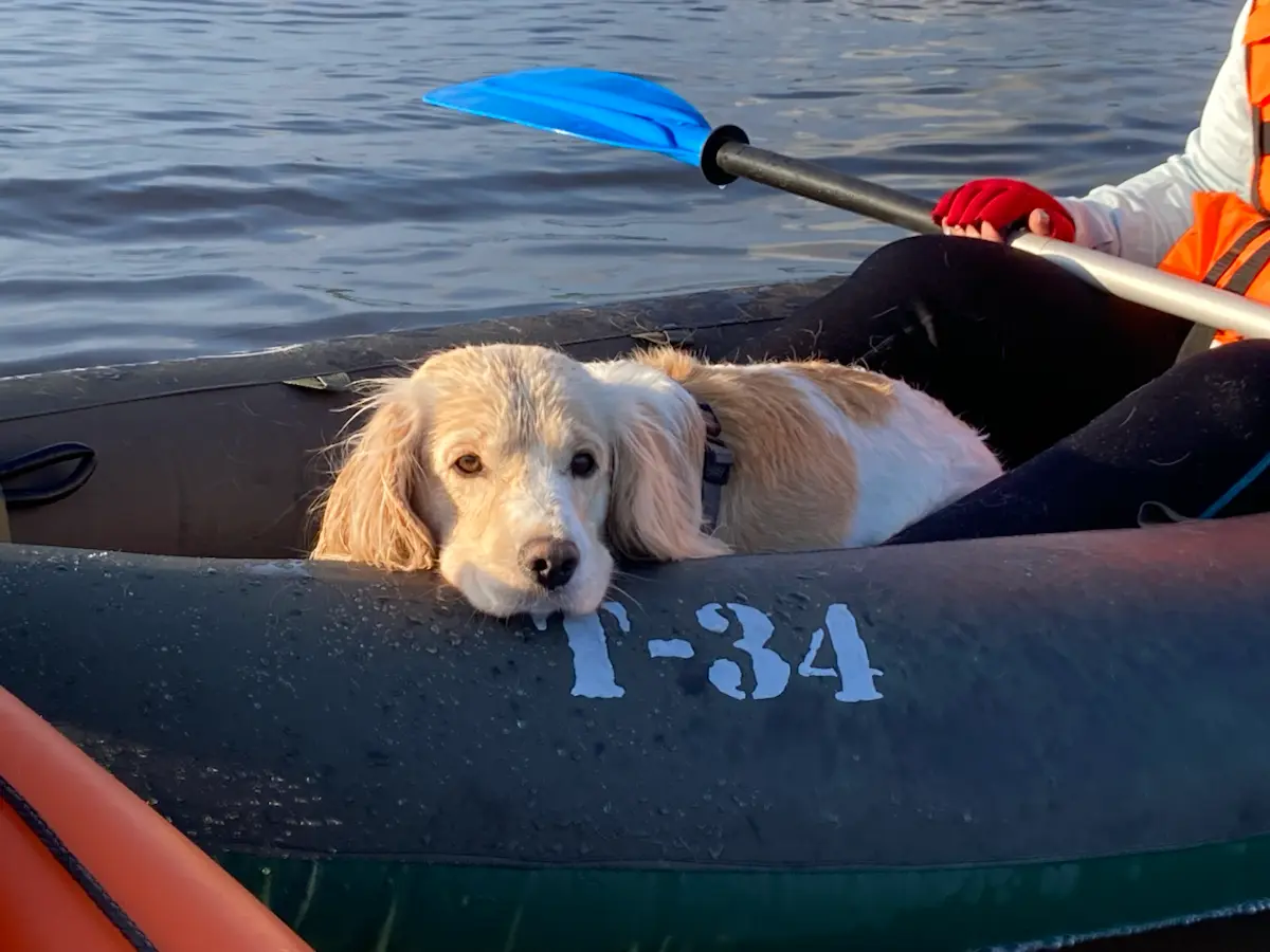 Моя история: как инженер с завода проваливал старт в digital | Сетка — социальная сеть от hh.ru