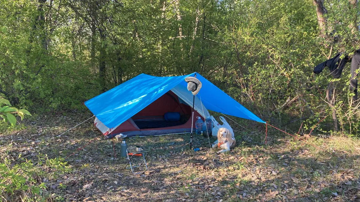 Моя история: как инженер с завода проваливал старт в digital | Сетка — социальная сеть от hh.ru