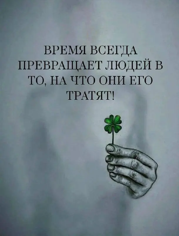 # инсайты\недели
Поделитесь, что откликнулось🤗
🔥 Детство - это судьба.
🔥 Не отступай!
🔥 Спокойствие - основная цель в состоянии владельца/ руководителя | Сетка — социальная сеть от hh.ru