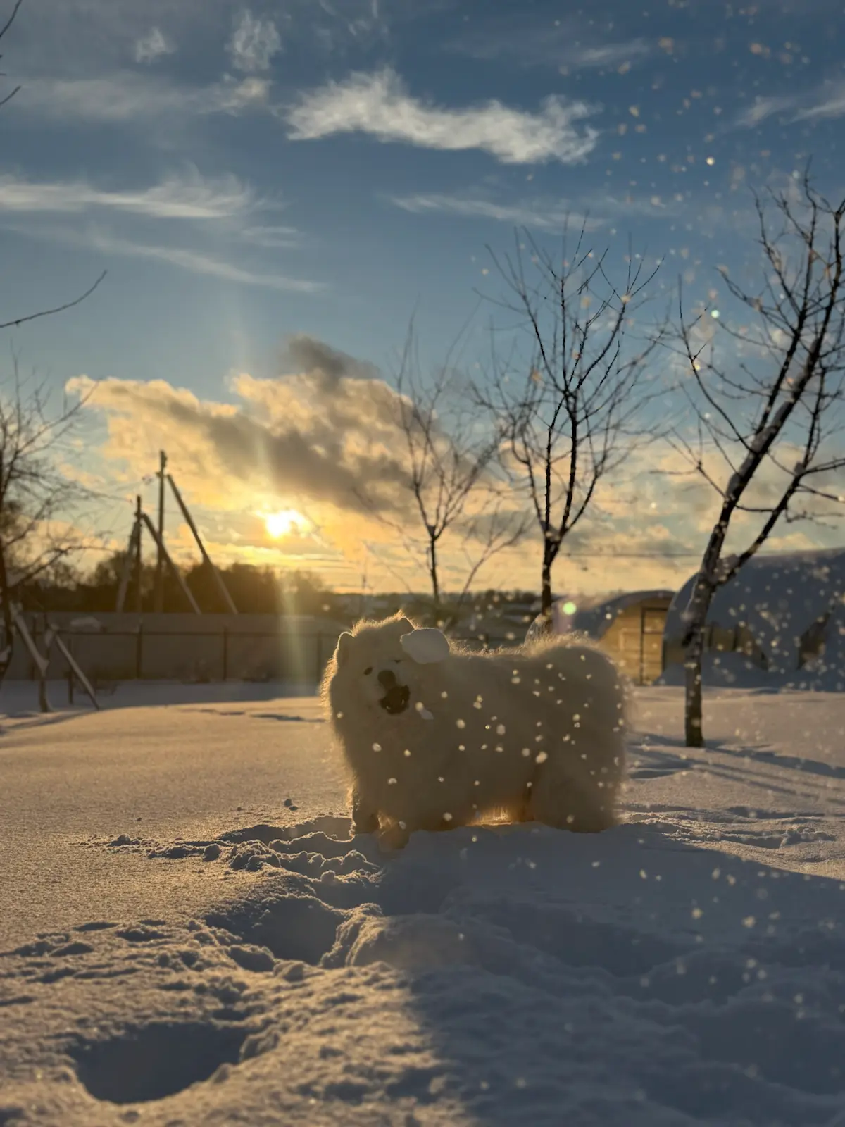 Для вдохновения ❄️ | Сетка — социальная сеть от hh.ru