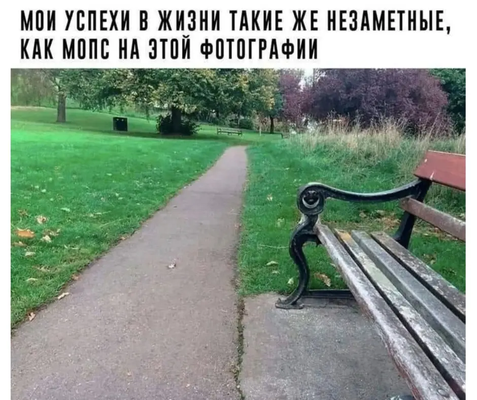 Вы видите мопса? Нет? А он есть😉 | Сетка — социальная сеть от hh.ru
