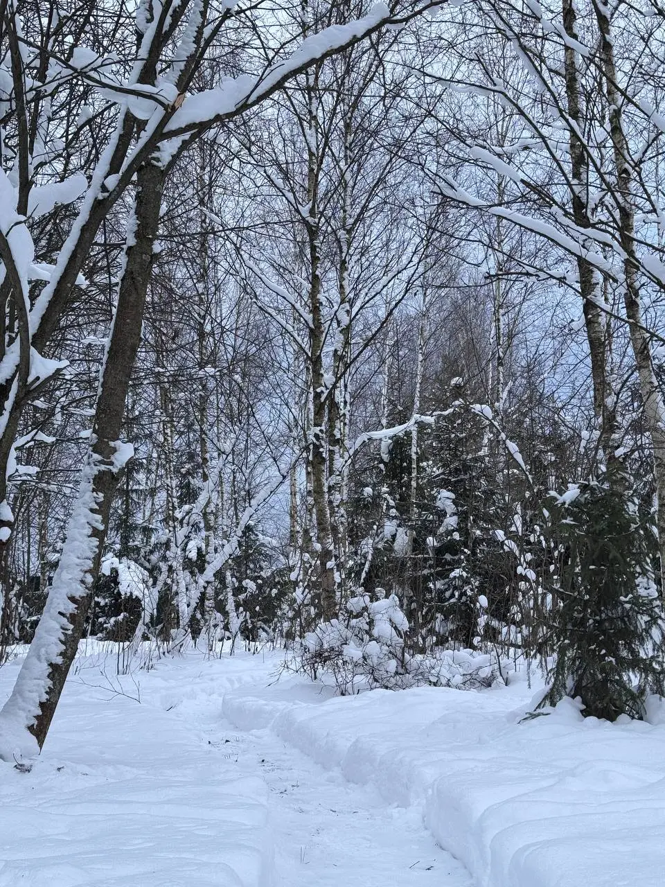 Новогодние выходные — лучший подарок ❤️‍🔥
Съездили в деревню, повалялись в сугробах, поводили хоровод вокруг ёлки, посушили одежду на печке, наелись пирогов 😍 | Сетка — социальная сеть от hh.ru
