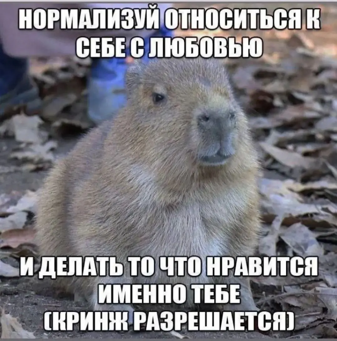 Нормализуй | Сетка — социальная сеть от hh.ru