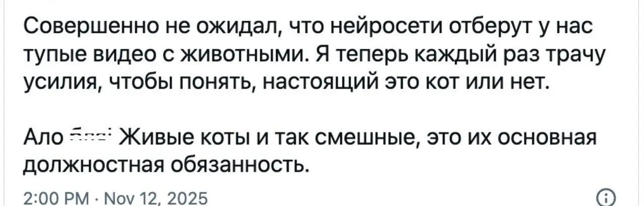 Котики незаменимы ❤️
#Юмор@poldner #Коты@poldner | Сетка — социальная сеть от hh.ru