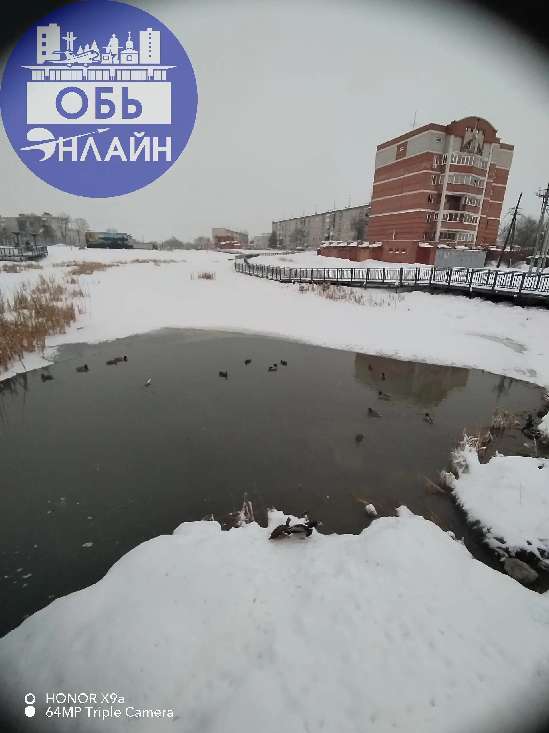 ↗ В Эко-парк вернулись утки
vk.ru
Подробнее на https://vk.com/ob.gorod
#городобь #городобьонлайн #толмачево | Сетка — социальная сеть от hh.ru
