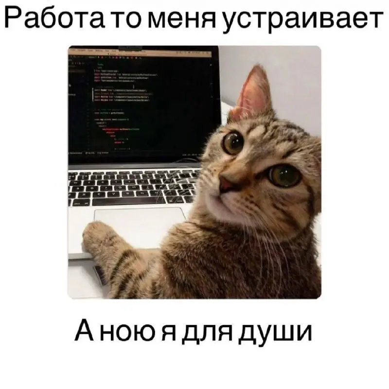 Новые мета компетенции: навыки руководителя которым мало где учат, но которые определяют успех
Я пригласила Марию Кузнецову, основателя и CEO компании Matter, которая специализируется на международном... | Сетка — социальная сеть от hh.ru