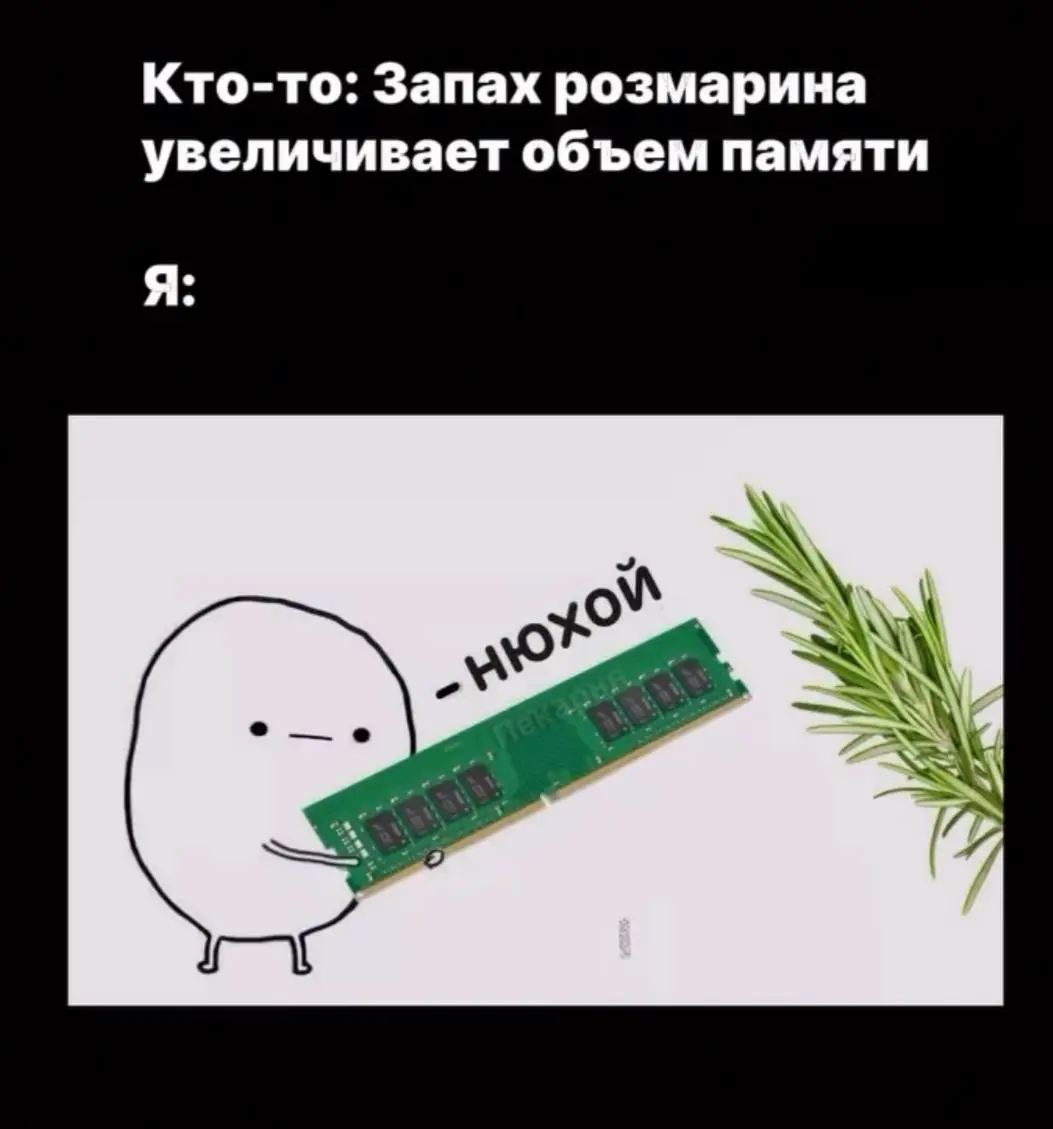 Мем дня | Сетка — социальная сеть от hh.ru