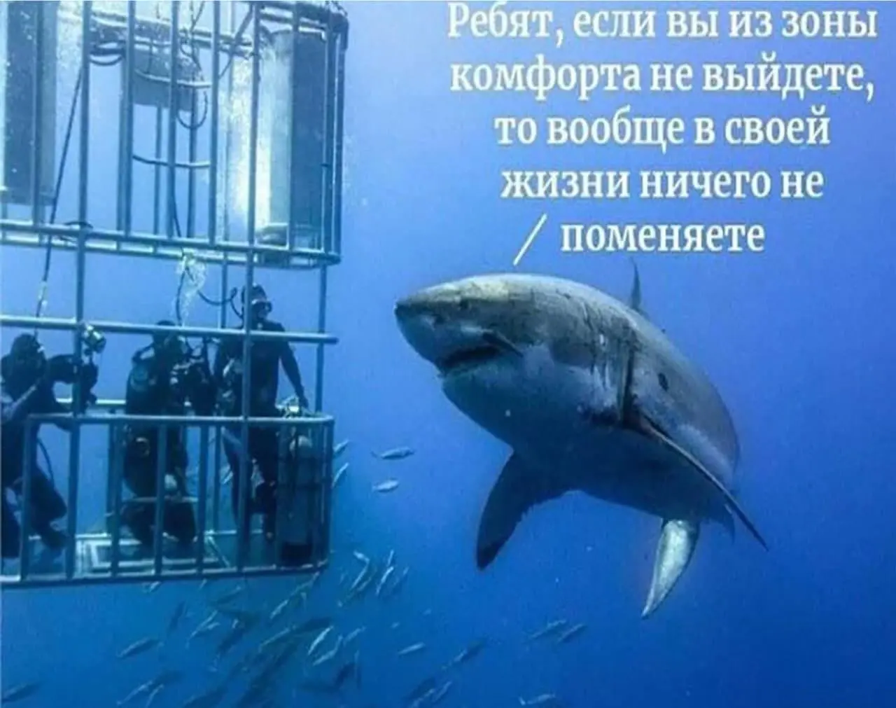 Навык, о котором мало говорят вслух, но который решает всё в карьере — это мастерство гибкости.
Да, мы привыкли наращивать компетенции | Сетка — социальная сеть от hh.ru